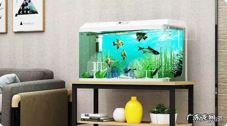 风水中的“水”原来都是财,有钱人都这么做 房屋门前有水库的风水好吗