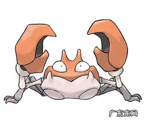 口袋妖怪黑白全精灵图鉴 口袋妖怪黑白精灵图鉴大全