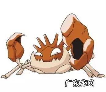 口袋妖怪黑白全精灵图鉴 口袋妖怪黑白精灵图鉴大全