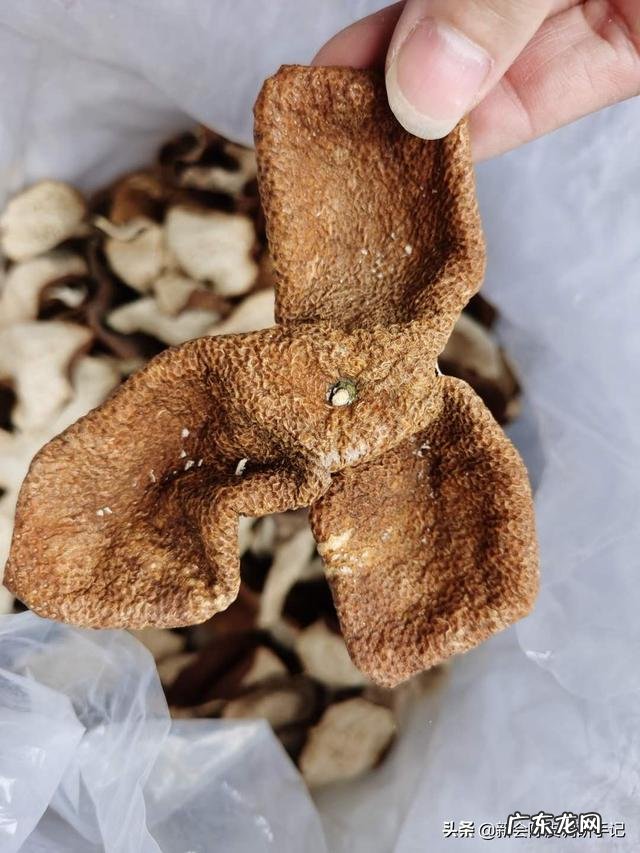 陈皮该怎么用？有什么好处？