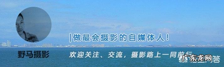 佳能全幅单反相机推荐,另外镜头是否需要中焦?