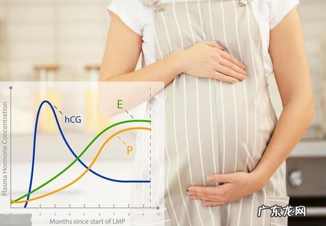 孕酮和hcg正常值 孕酮