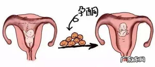 孕酮和hcg正常值 孕酮