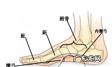 该如何选择跑步鞋?