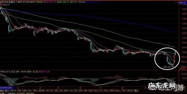 为什么有人说不用担心白酒股的暴跌？你怎么看？