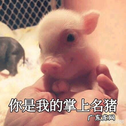 网恋+异地恋找不到坚持的理由,但又舍不得放手该怎么办?