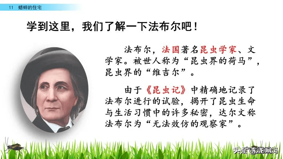 添置的置是什么意思 置之不理的置是什么意思思