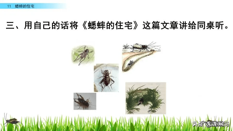 添置的置是什么意思 置之不理的置是什么意思思