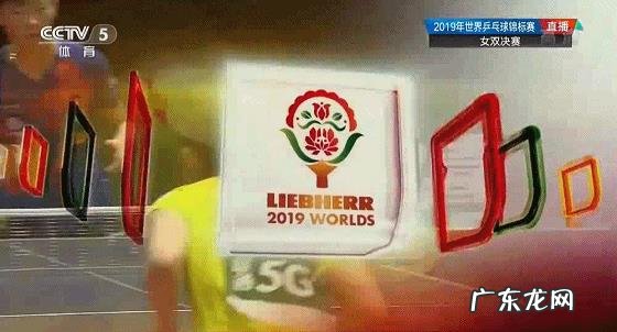 日本队向国际乒联抗议世乒赛女双决赛关键局擦网判罚,该球到底有没有擦网?你怎么看?