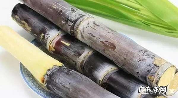 哪里的甘蔗好吃?