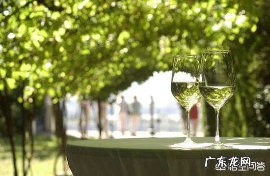 常见的葡萄酒品种有哪些?