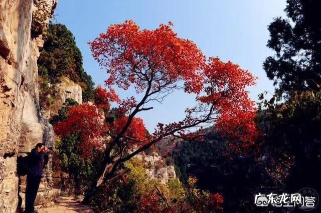 清新的或者富有哲理的句子，分成几段就能算诗？