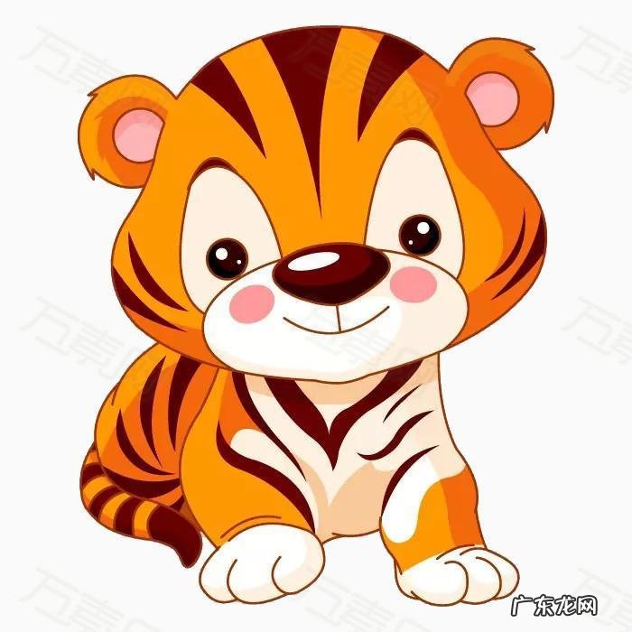 wolf复数形式单词 wolf的复数形式