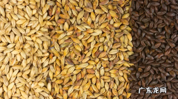 容易回奶的食物都有哪些 导致回奶的食物有哪些