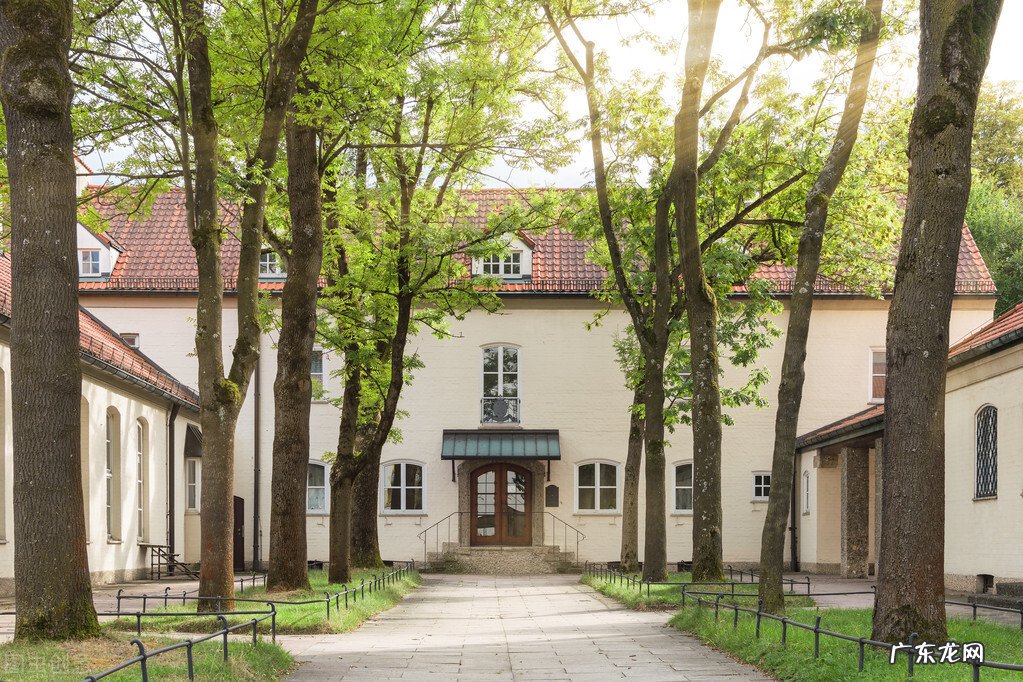 为什么家门口不能种大树？除了一句古话，还有5个原因 门口有树风水