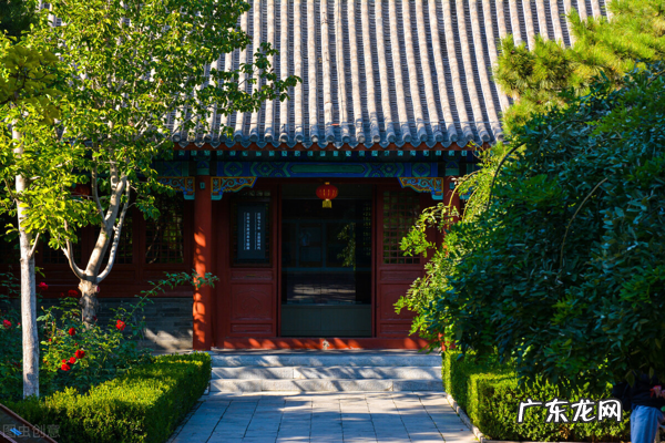 为什么家门口不能种大树？除了一句古话，还有5个原因 门口有树风水