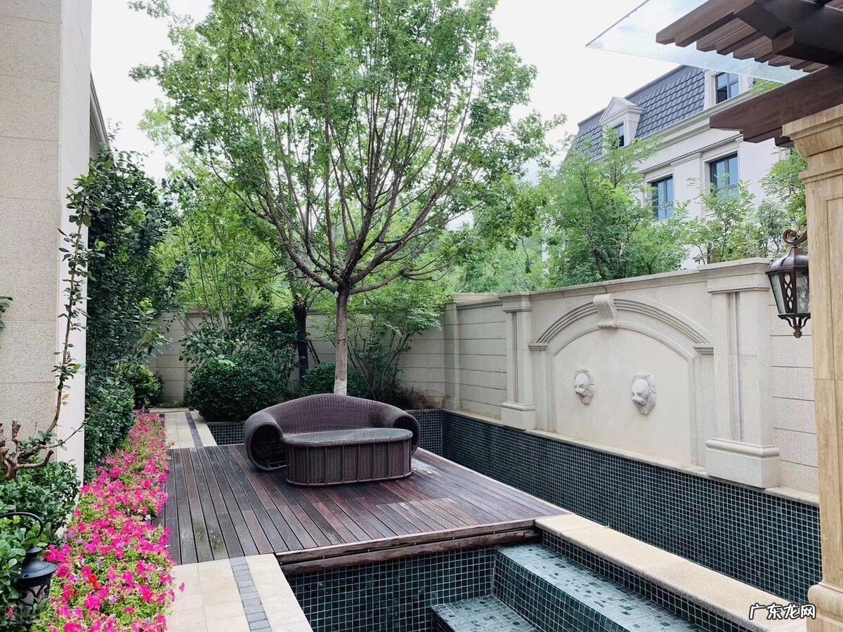 为什么家门口不能种大树？除了一句古话，还有5个原因 门口有树风水