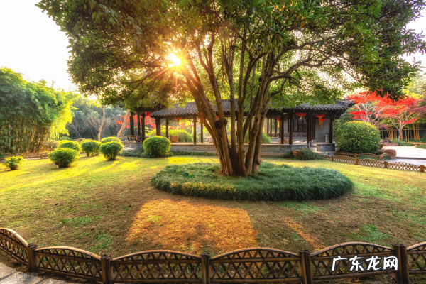 为什么家门口不能种大树？除了一句古话，还有5个原因 门口有树风水