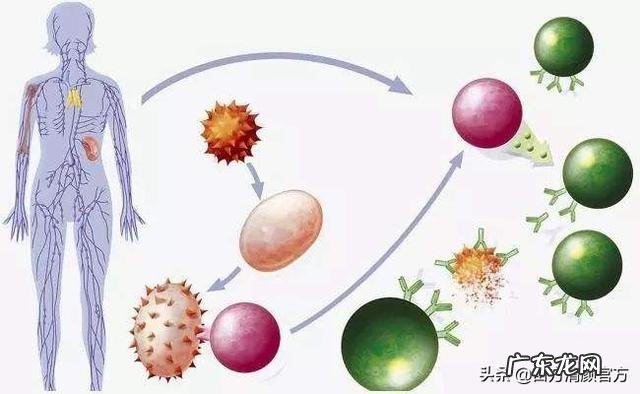过敏体质是什么原因导致的呢？