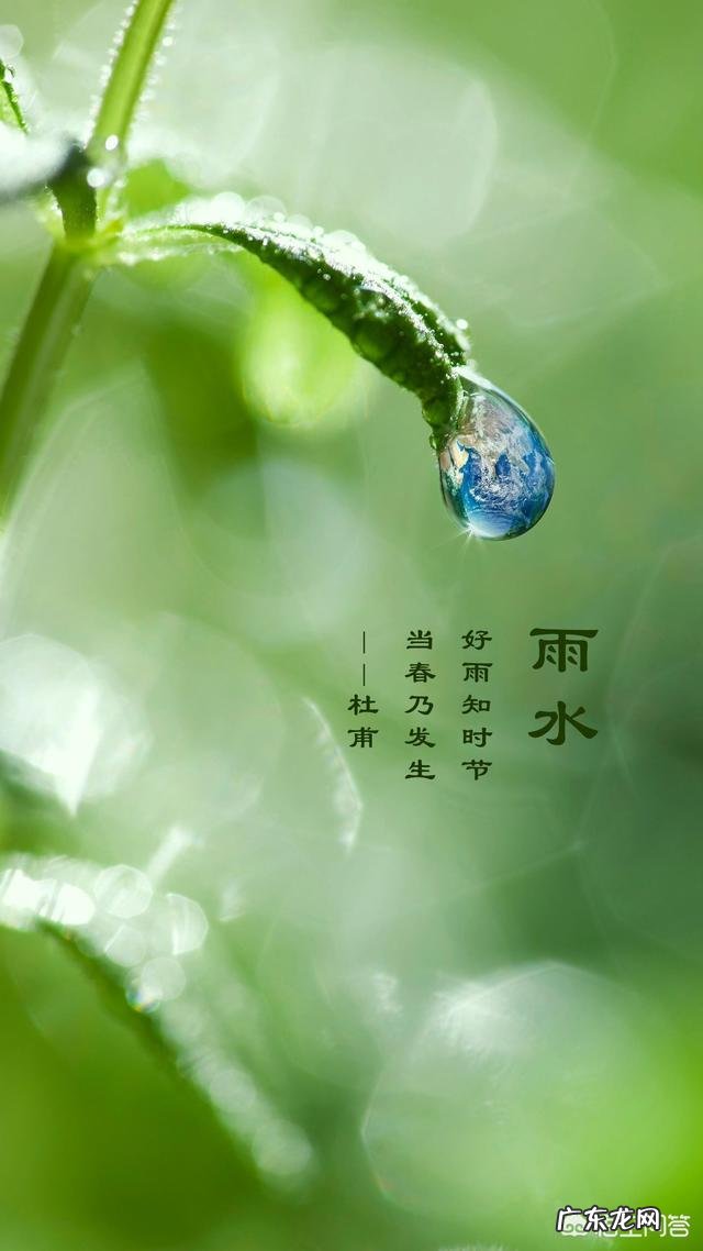 梦里花落知多少，下一句是什么？