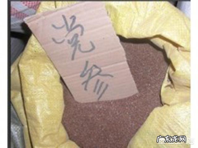 野党参是什么样的,有什么功效?