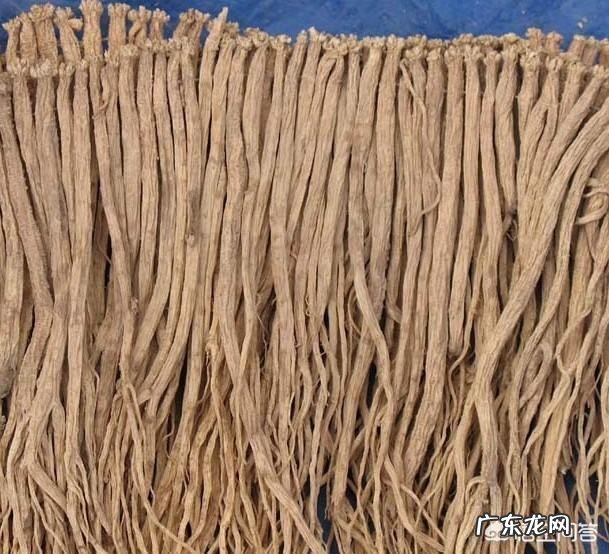 野党参是什么样的,有什么功效?