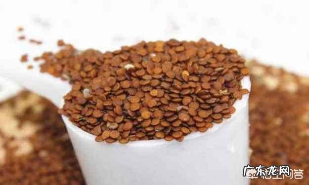 吉利丁粉和冰粉有什么区别?