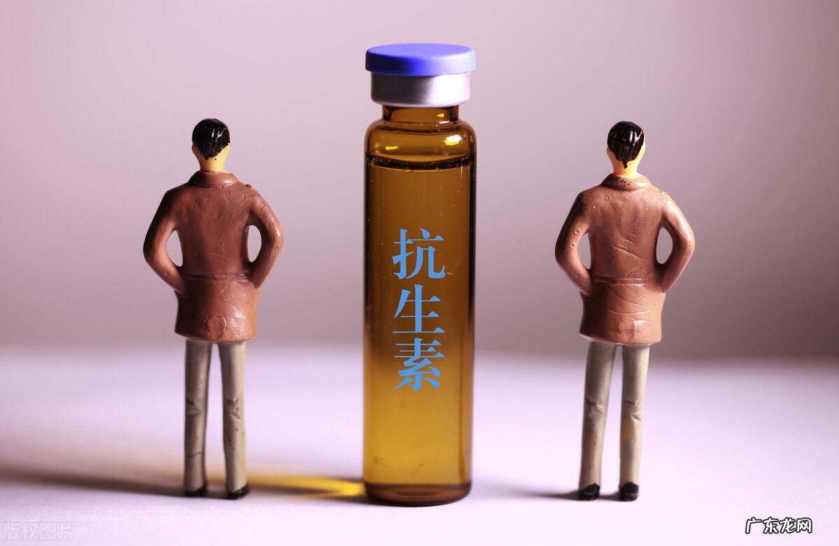 十二指肠 位置 十二指肠溃疡