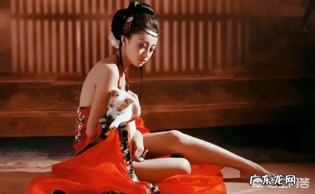 如何用对酒当歌，人生几何作一首藏头七言诗？