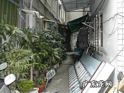 道真讲“风水”宅外四周环境对风水的影响 三十九 风水多少距离外不影响