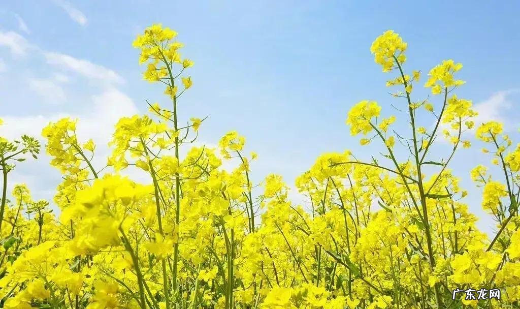 女人在家赚钱的工作