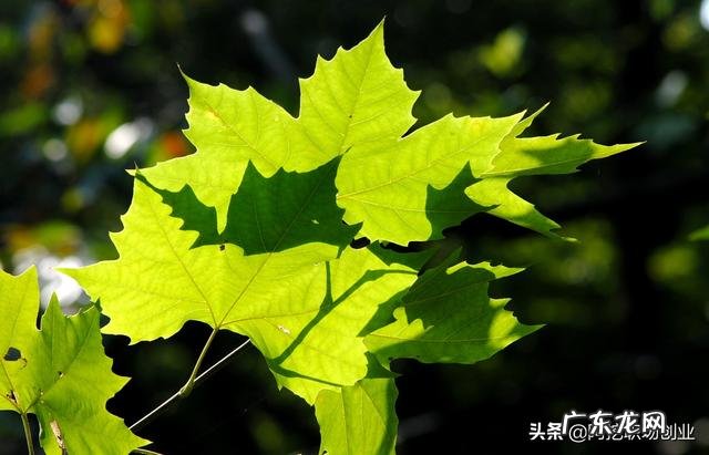 如何培养良好的心理素质？