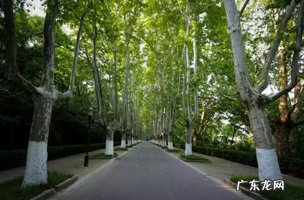 天津河西房子 河西房子风水不好
