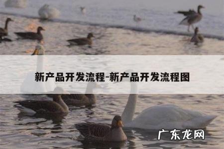 新产品开发流程-新产品开发流程图