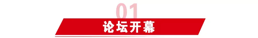 亲子论坛都有哪些