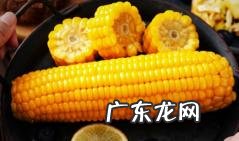 6元一根的新东方玉米农民能赚多少「东北一亩地玉米能赚多少钱」