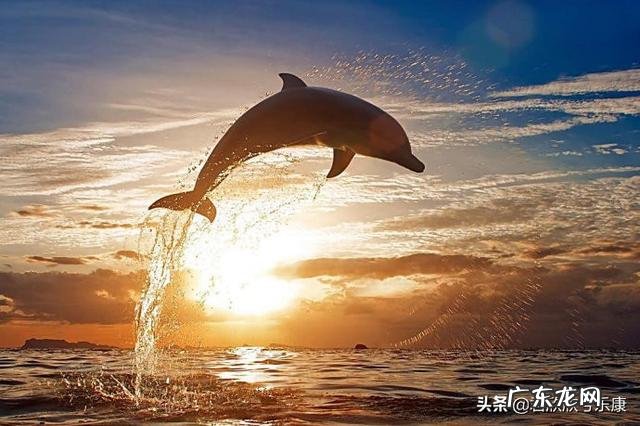 一个人怎么做公众号？