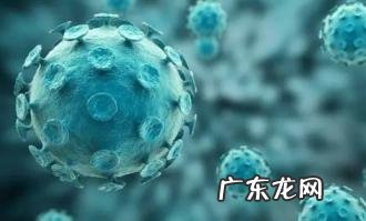 疱疹是不是性疾病「男性疱疹是什么病」