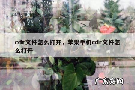 cdr文件怎么打开,苹果手机cdr文件怎么打开