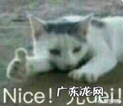 爱上一个女孩子怎么去跟她表白?