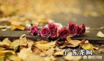 大学生的心理健康应该怎样去正确面对?