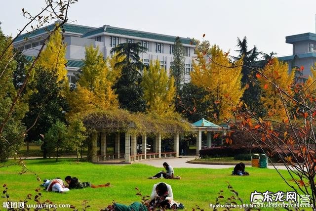 大学生的心理健康应该怎样去正确面对?