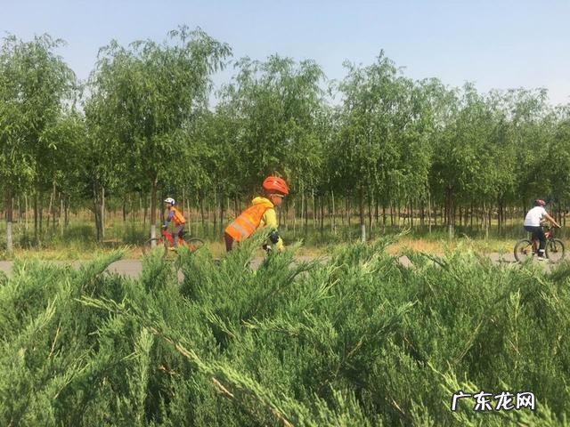 分享一个你与孩子成功沟通的事例,你有哪些心得?