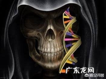 重视生命,敬畏死亡,你们说说有什么感悟?