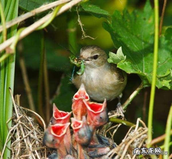 重视生命，敬畏死亡，你们说说有什么感悟？
