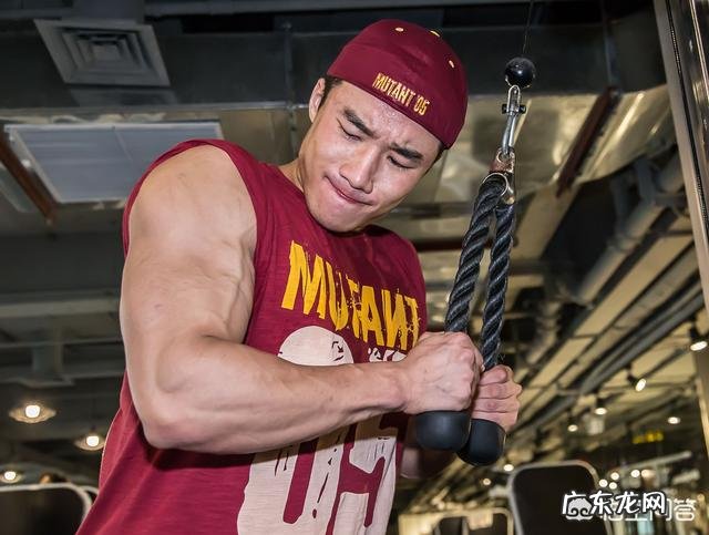 怎么锻炼手臂力量?