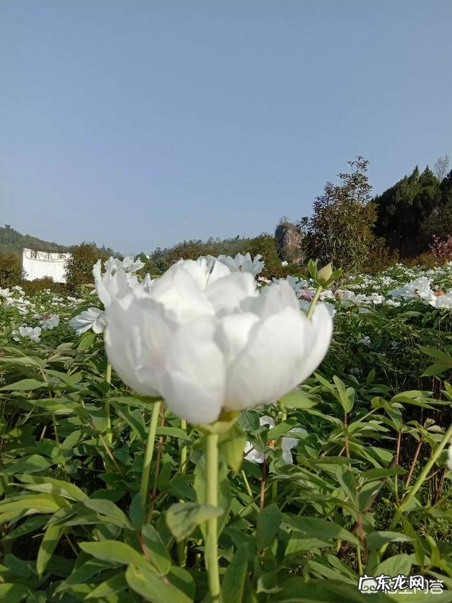 分手后一些男人为何还喜欢和前女友联系?