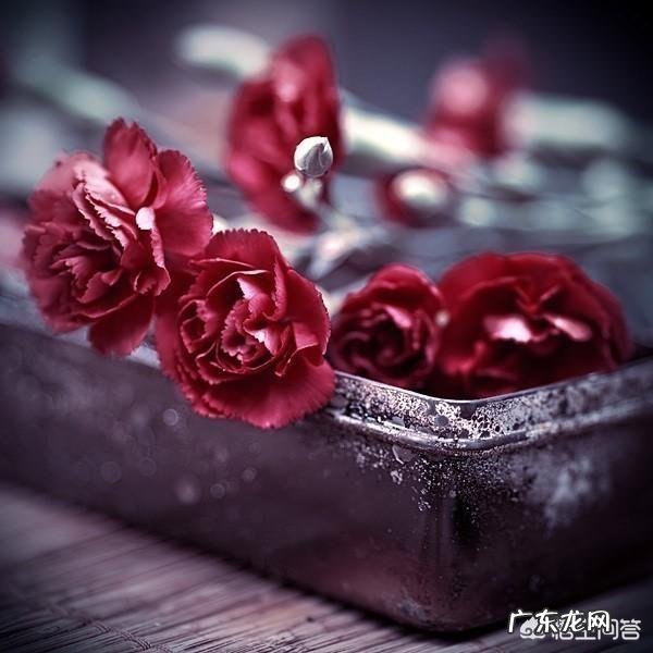 QQ说说心累伤感的句子有哪些？