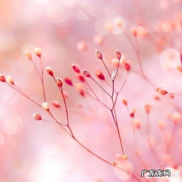 QQ说说心累伤感的句子有哪些?