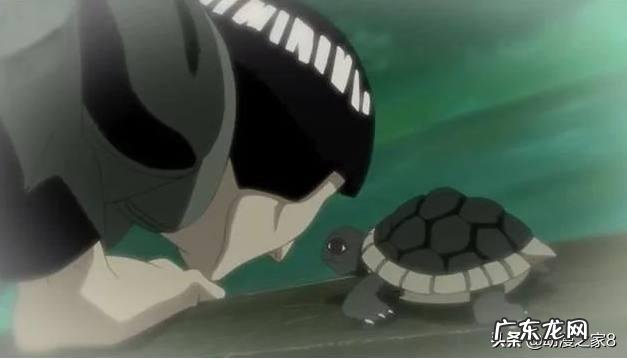 火影忍者最弱的通灵兽是谁？